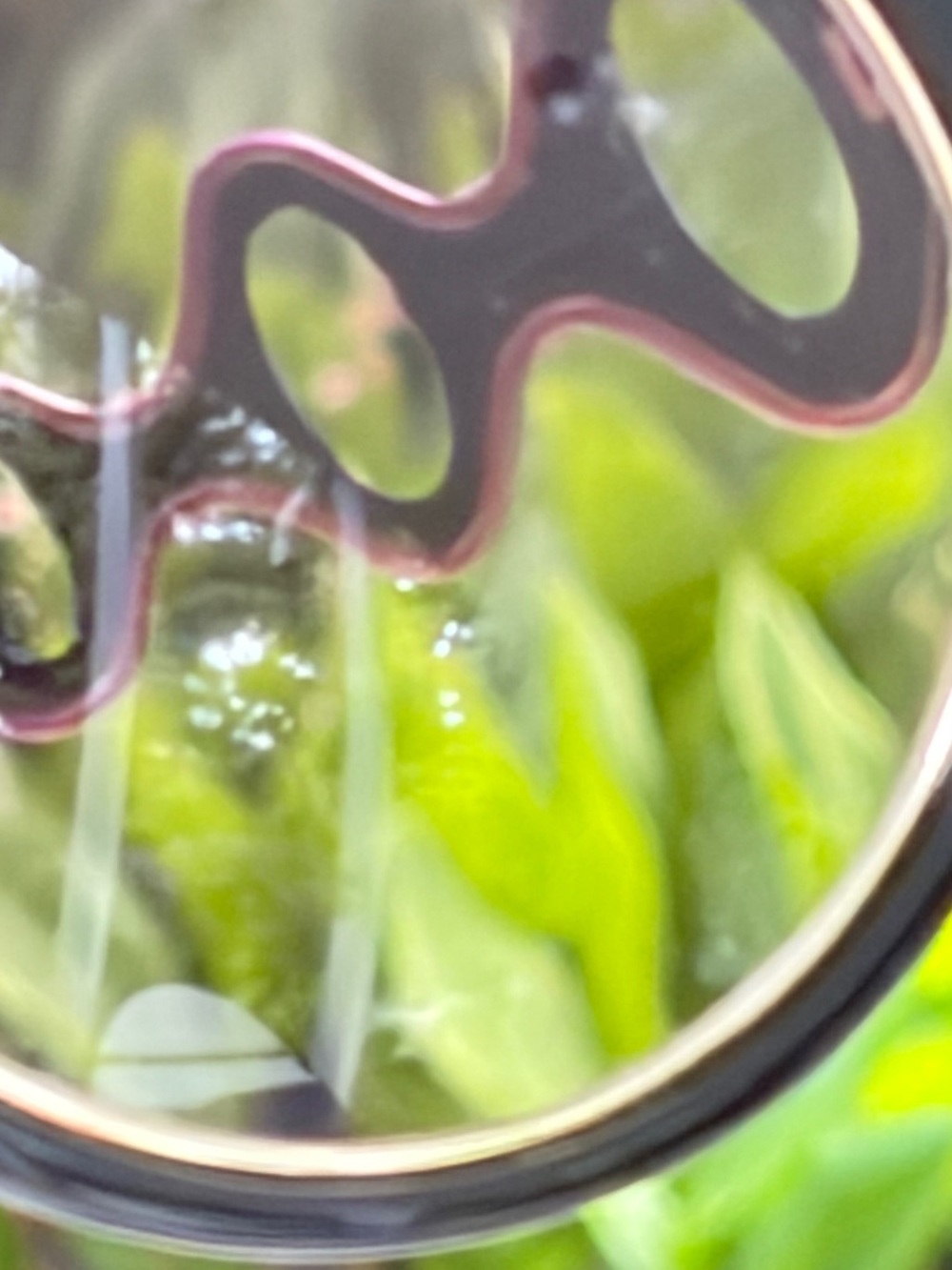 Emilio Pucci Round Black Sunglasses with Gradient Lenses - Picture 6 of 9